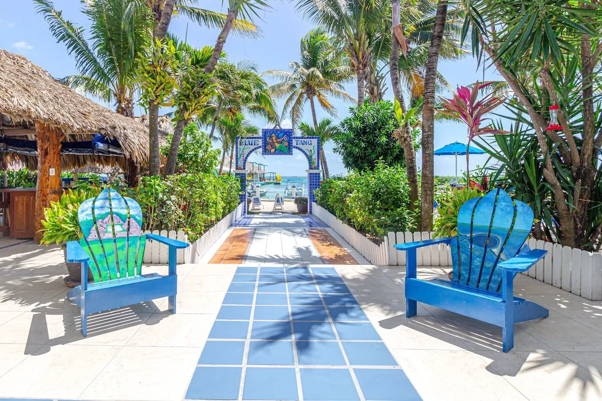 Coastal setting in the Blue Tang Inn photo gallery