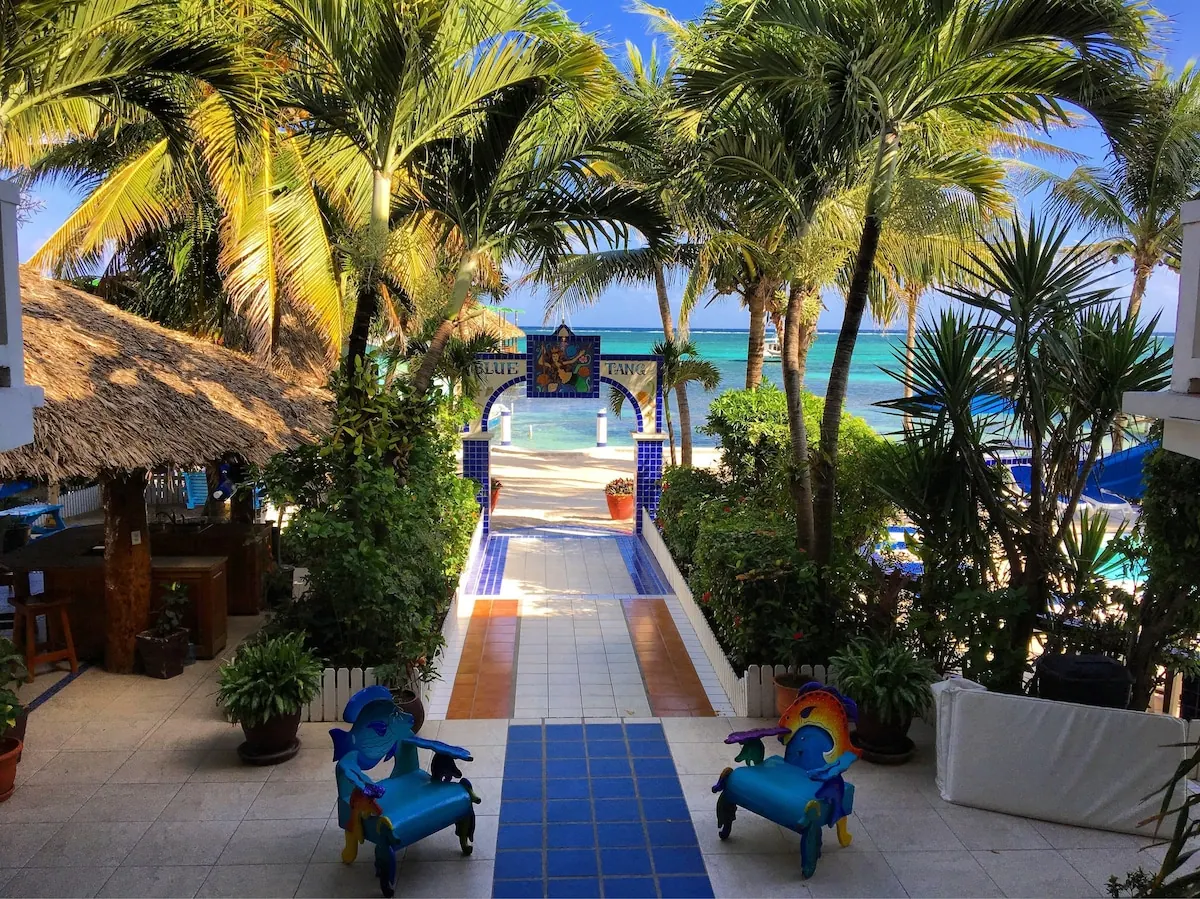 Pool area in the Blue Tang Inn photo gallery