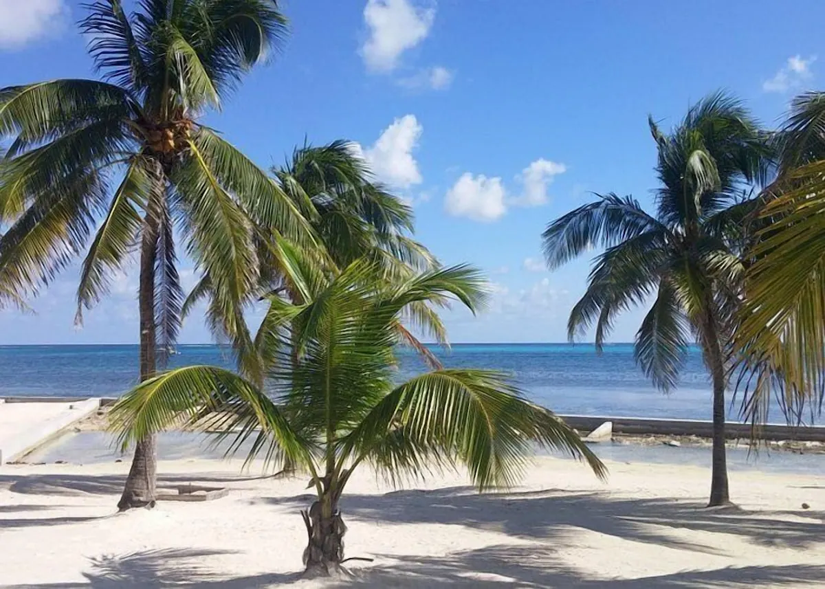 Coastal setting in the Best Western Grand Baymen Gardens photo gallery