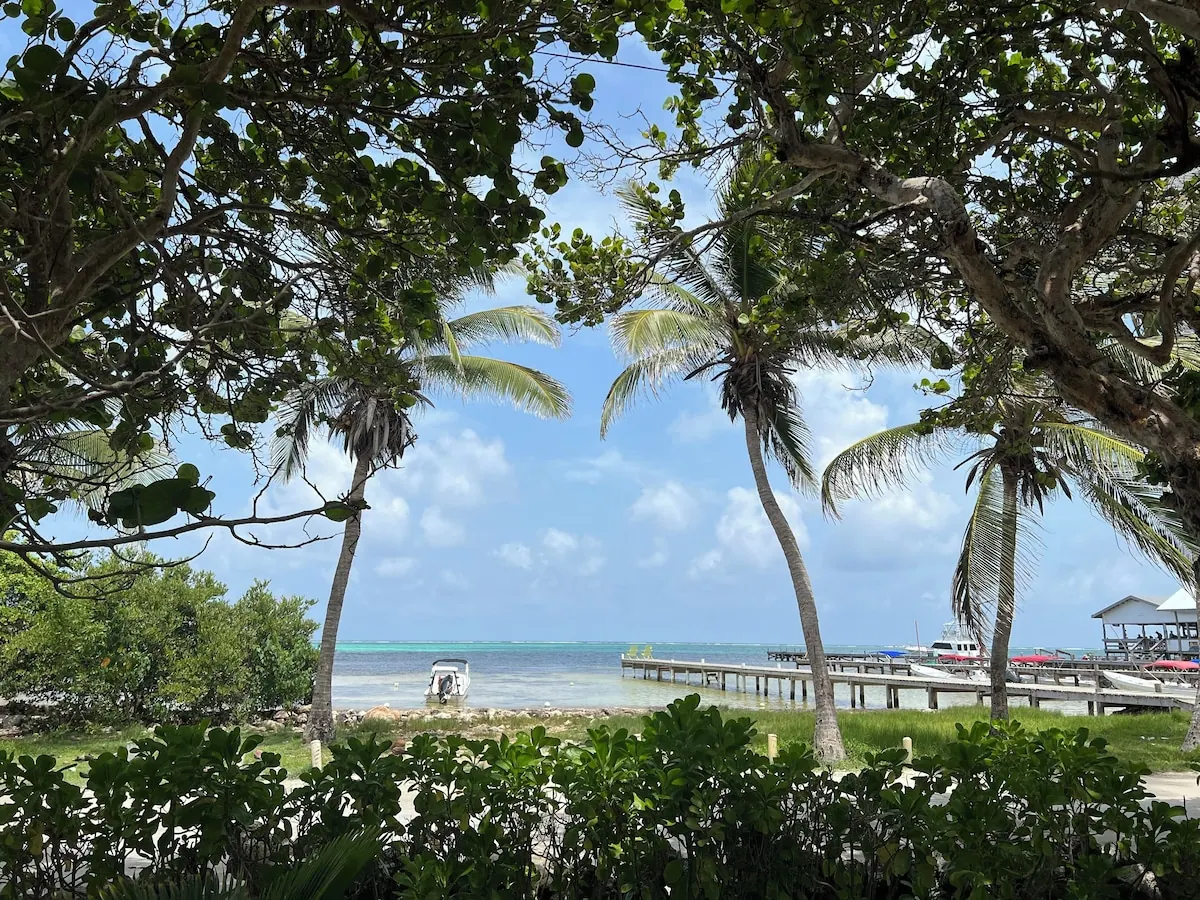 Island activity scene in the Hotel del Rio photo gallery