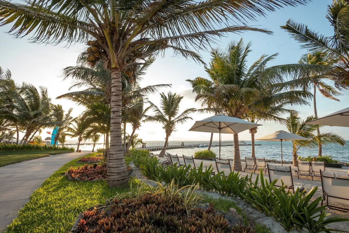 Coastal setting in the Las Terrazas Resort & Residences photo gallery