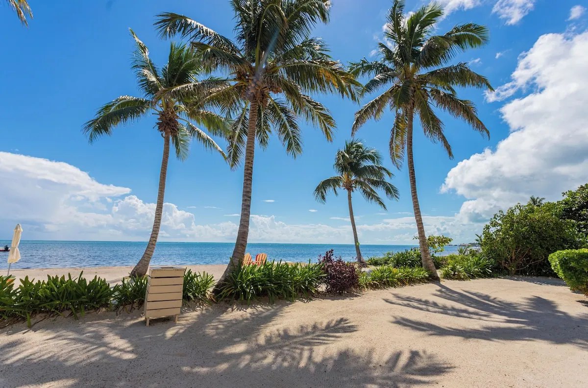 Coastal setting in the Tres Cocos Resort photo gallery