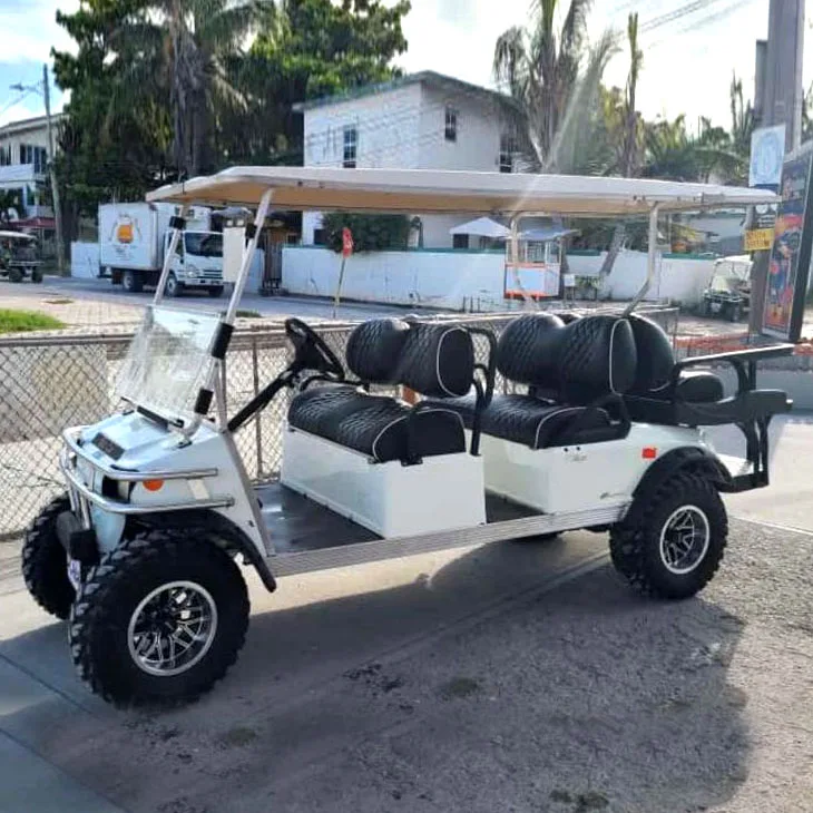 6 seater golf cart san pedro belize